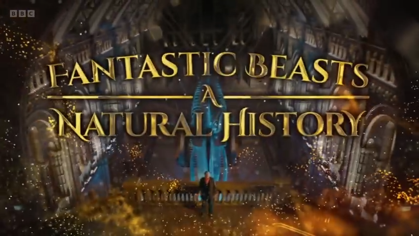 Fantastic Beasts A Natural History BBC神奇动物自然历史【1集 视频+PDF】-新知365