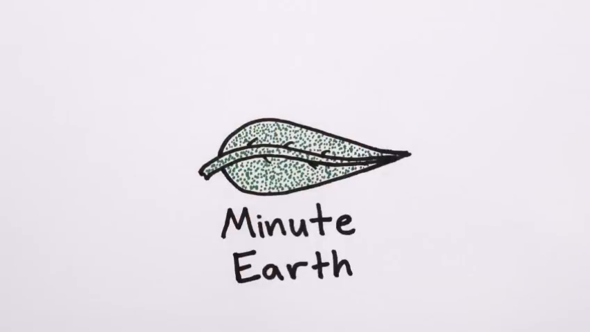 Youtube英语科学科普视频 MinuteEarth分钟地球【355集 英文字幕】-新知365