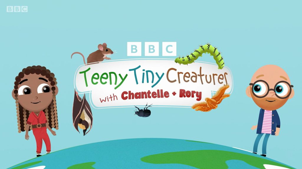 图片[1]-Teeny Tiny Creatures【1-2季25集 英语 英文字幕 视频+音频 适合3-8岁】-新知365