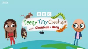 Teeny Tiny Creatures【1-2季25集 英语 英文字幕 视频+音频 适合3-8岁】-新知365
