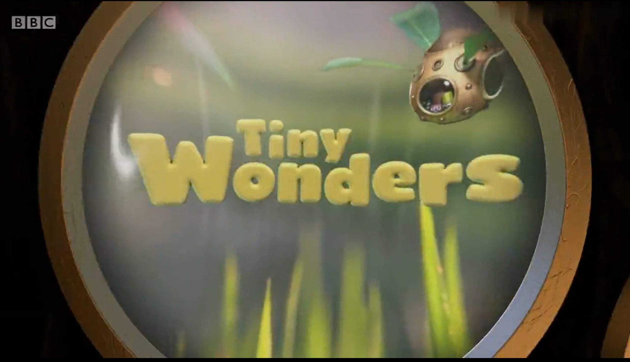 Tiny Wonders 微观奇迹自然科普【1季全10集 英文字幕 】-新知365