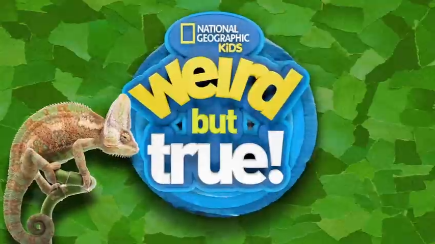 Weird But True! 奇怪但真实！国家地理儿童节目【1-3季 英语 英文字幕 26.5G】-新知365
