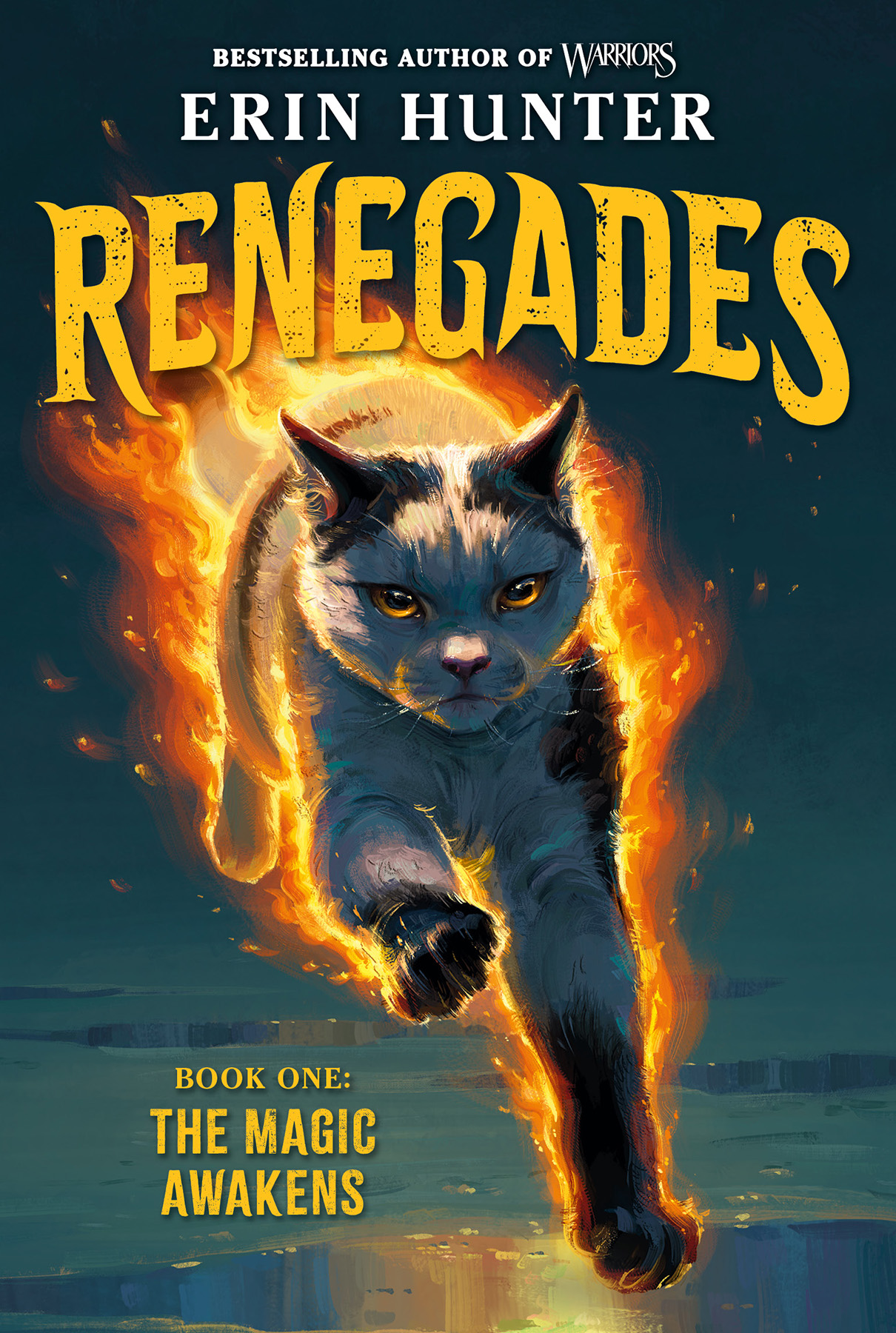 【2437】Renegades: The Magic Awakens – Erin Hunter 《叛逆者1:魔力觉醒》电子书mobi+epub-新知365